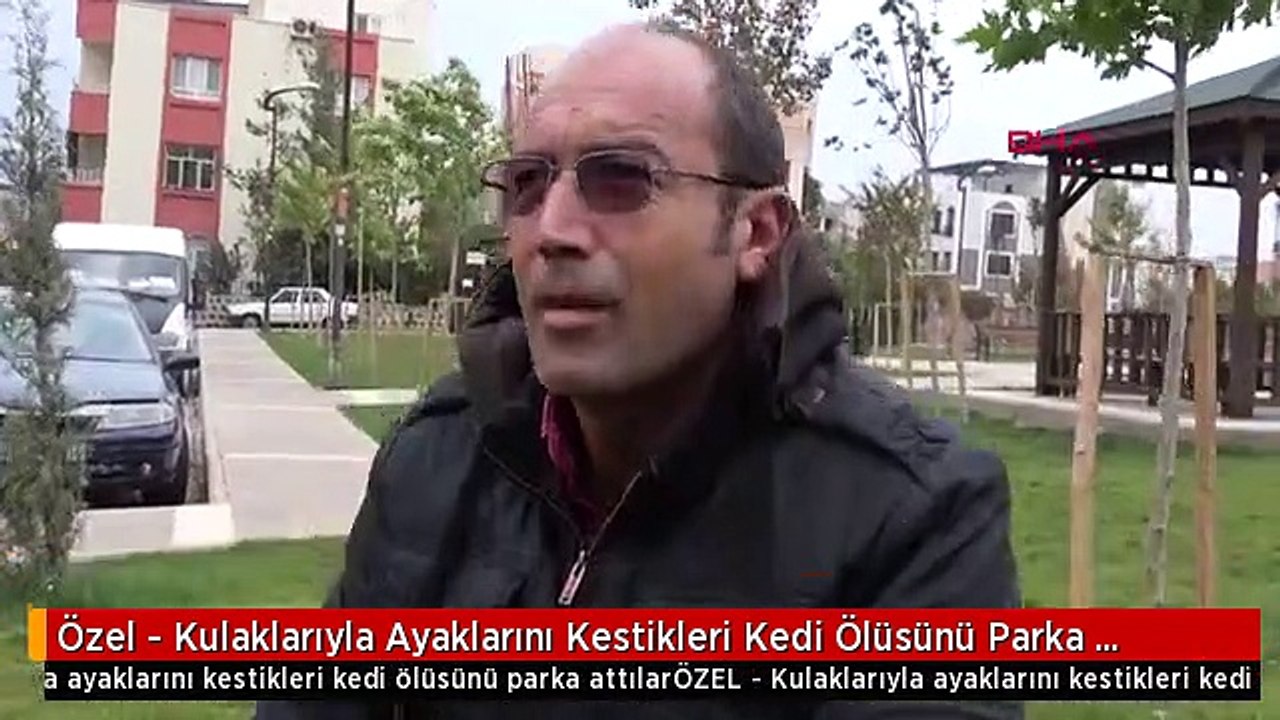 Özel - Kulaklarıyla Ayaklarını Kestikleri Kedi Ölüsünü Parka Attılar