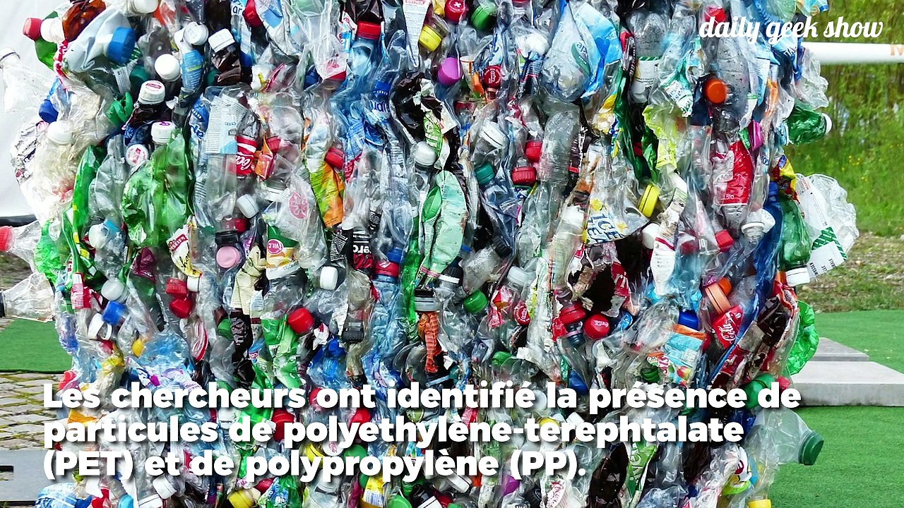 Des micro-plastiques retrouvés dans les excréments humains