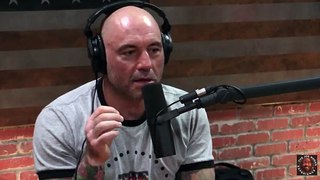 Joe Rogan & Nick Kroll On Burning Man