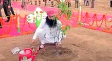 Mega Tree Plantation Drive - 4,18,31,075 Trees have been planted Till Date