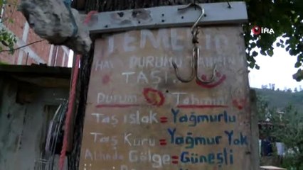 Bu da Temel'in Hava Durumu Tahmini