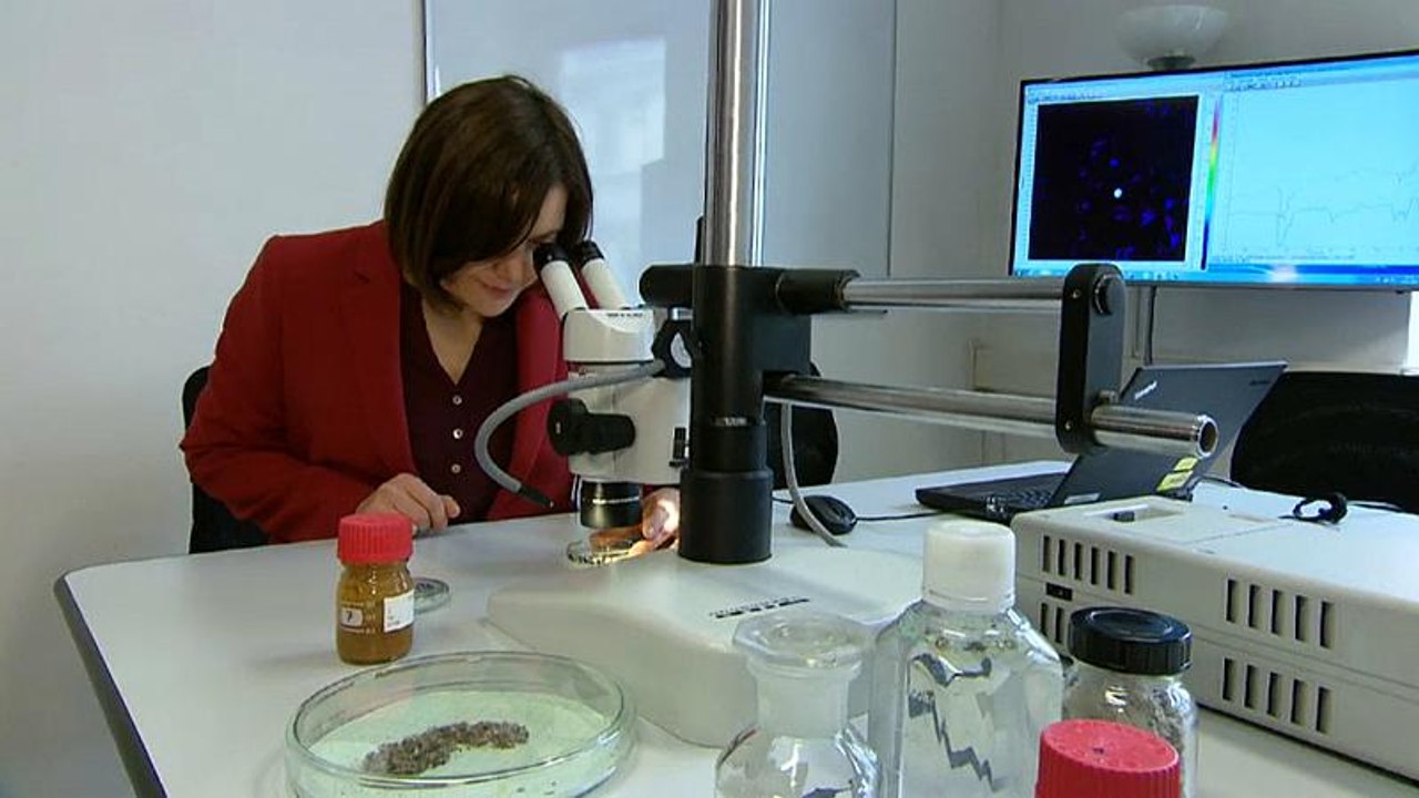 خطر البلاستيك من البحار والمحيطات إلى البشر.. جزيئات بلاستيكية في فضلات الإنسان