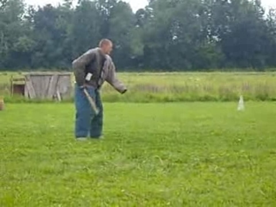 attaque berger malinois Vs brice