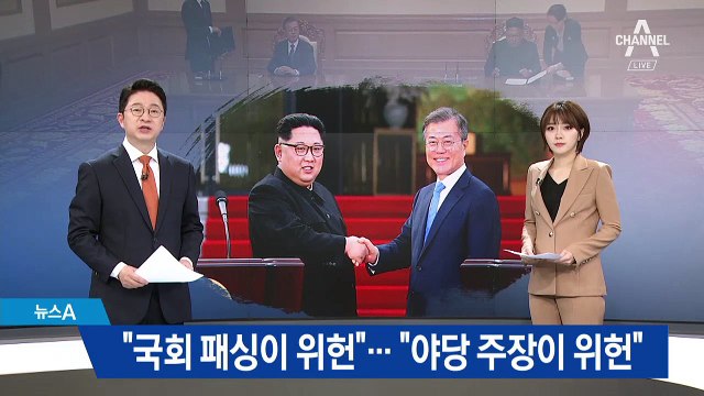 비준 위헌 공방…“국회 패싱 위헌” vs “야당 주장 위헌”