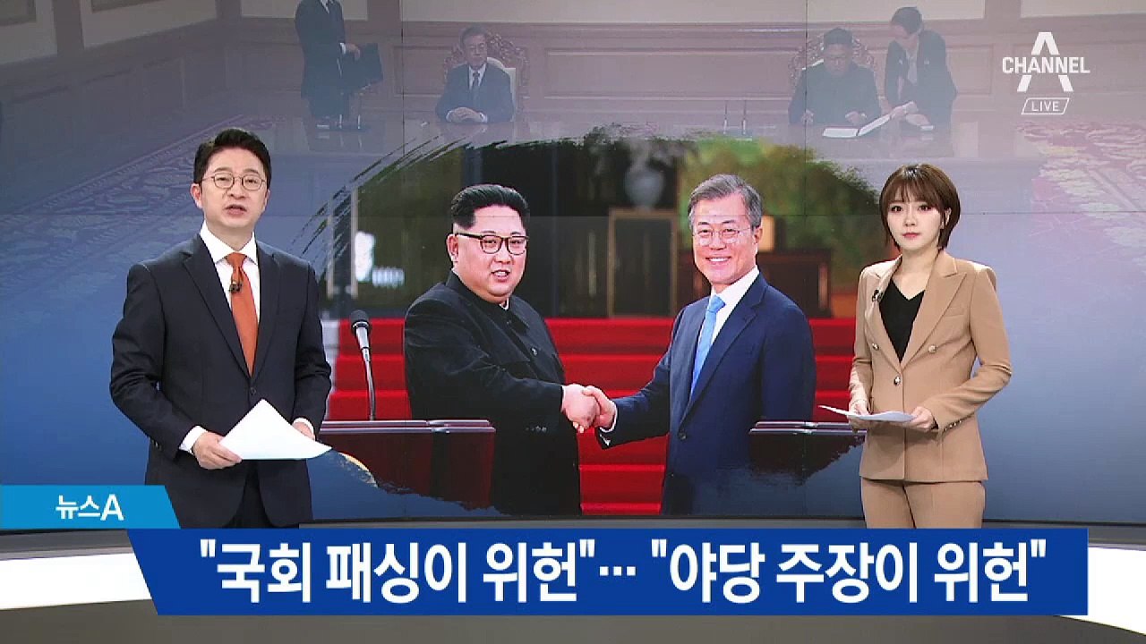 비준 위헌 공방…“국회 패싱 위헌” vs “야당 주장 위헌”