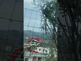 Stop - Arapaj Durrës/ Nje gjarper ne peme te rruga ku kalojne nxenesit