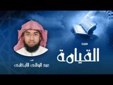 سورة القيامة | بصوت القارئ الشيخ عبد الوالى الأركانى