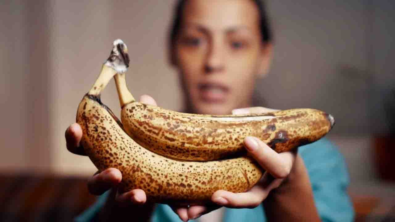 Richtige Lagerung: So bleiben Früchte länger haltbar