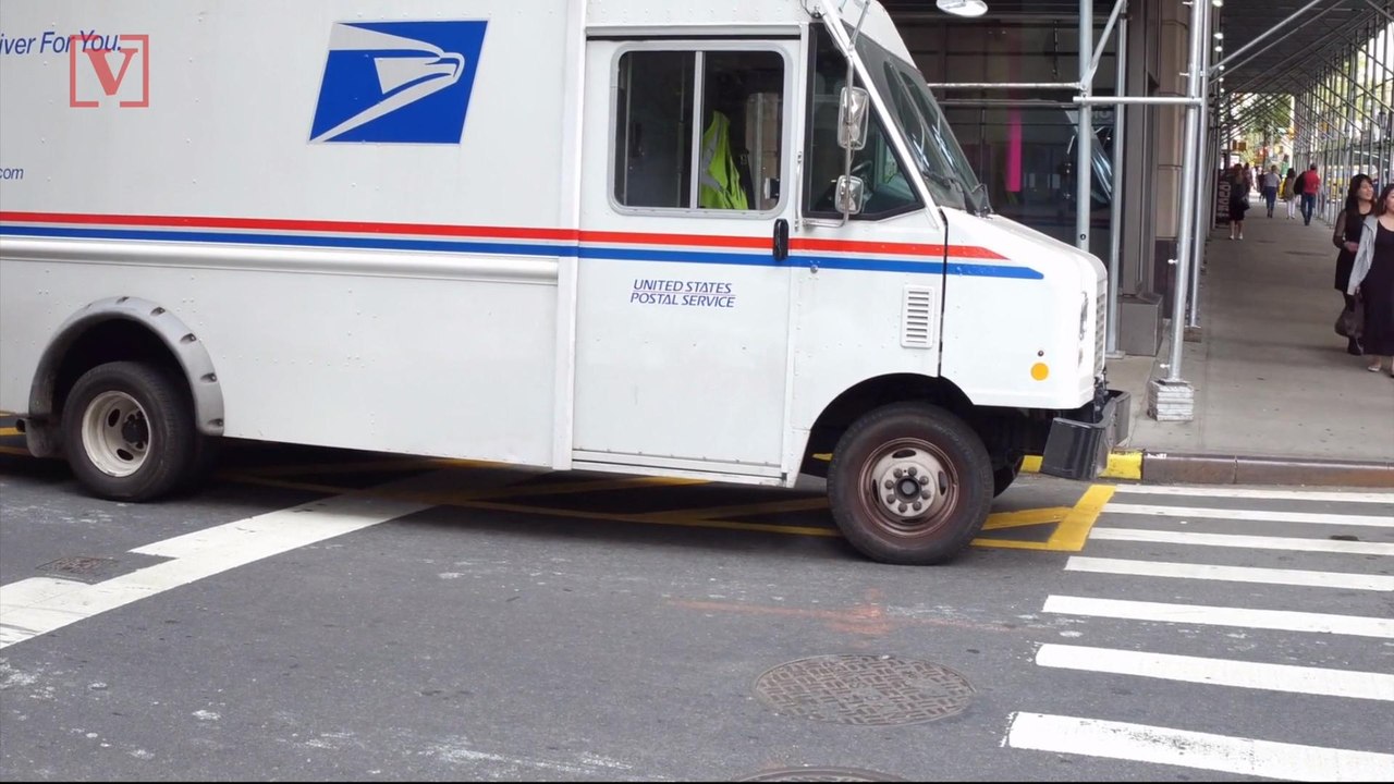 Postal Service Investigates Pile of Undelivered Mail Found in New York Woods