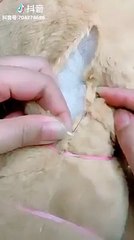 The way to fix your teddy bear