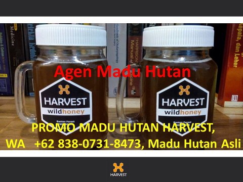 PROMO MADU HUTAN HARVEST, WA +62 838-0731-8473, Madu Hutan Asli