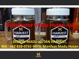 DISKON MADU HUTAN HARVEST, WA   +62 838-0731-8473, Manfaat Madu Hutan