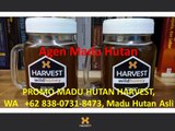 BELI MADU HUTAN GRATIS DRINKING JAR, WA   +62 838-0731-8473, Madu Asli