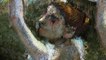 Exhibition On Screen: Degas - Passion For Perfection - Trailer