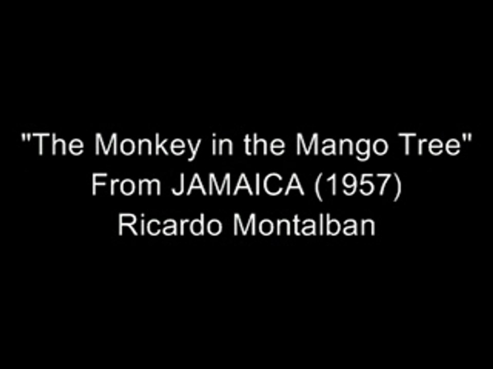 The Monkey In the Mango Tree