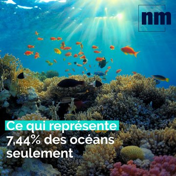 Les Aires Marines Protégées