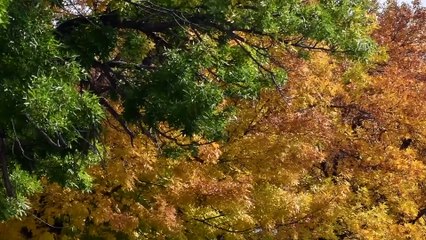Kars sonbaharda bir başka güzel
