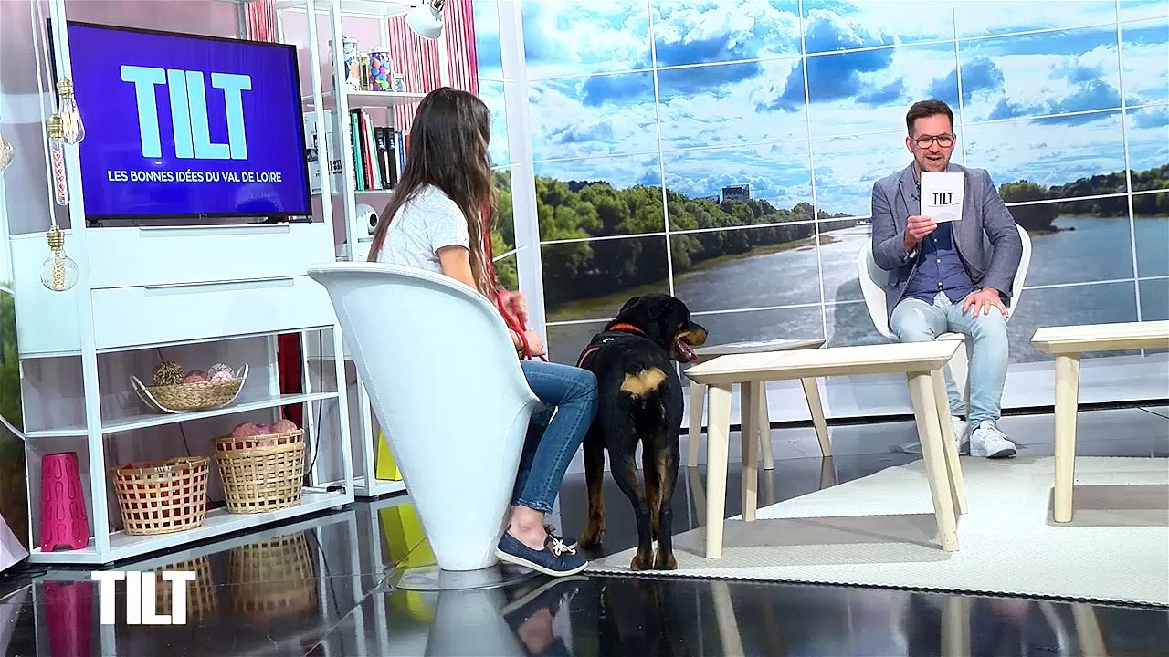 Adopte un PET : Nos coups de coeur à adopter à la SPA