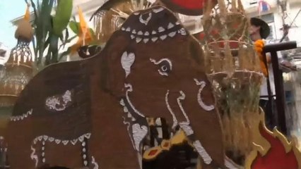 Watch :  Buffalo racing in Thailand