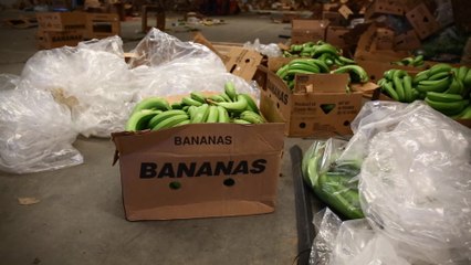 Dan a los comedores sociales bananas en las que se escondía cocaína