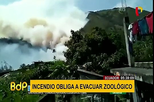 Ecuador: incendio forestal obligó a la evacuación de los animales de un zoológico