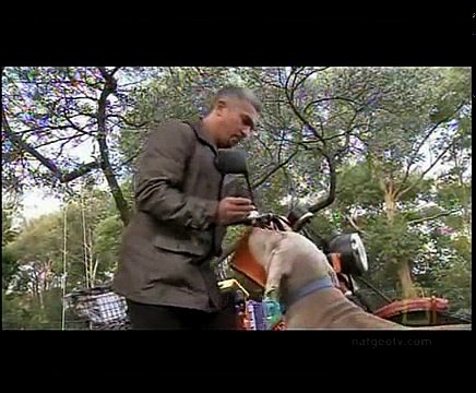 Dog Whisperer With Cesar Millan S06E08