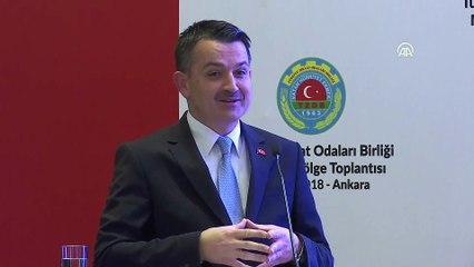 Download Video: Pakdemirli: 'Yerli tohumlarımızı mutlaka korumamız lazım' - ANKARA