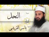سورة النحل | بصوت القارئ الشيخ ياسر القرشى
