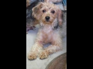 en hommage à nos disparus