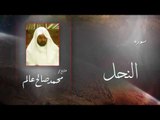 سورة  النحل  | بصوت القارئ الشيخ  محمد صالح عالم