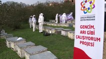 Ordu'da genç arıcılar yetişiyor