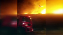 Bodrum’da makilik yangınında 5 hektarlık alan kül oldu