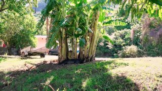 Small Island, Crusty Bottom || Sailing Marquesas, South Pacific