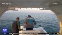 [투데이 영상] 순식간에 날아간 '문어 월척'
