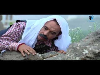 ابو جيدعان البقرة نطحته اول مقال اسم توفيقة