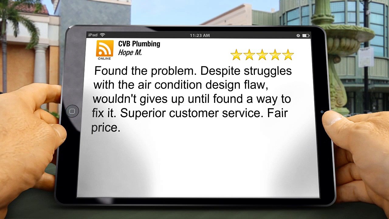 CVB Plumbing Poway Remarkable Five Star Review by Hope M.
