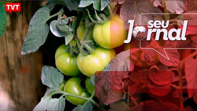 Contra agrotóxicos, agricultura familiar é primordial