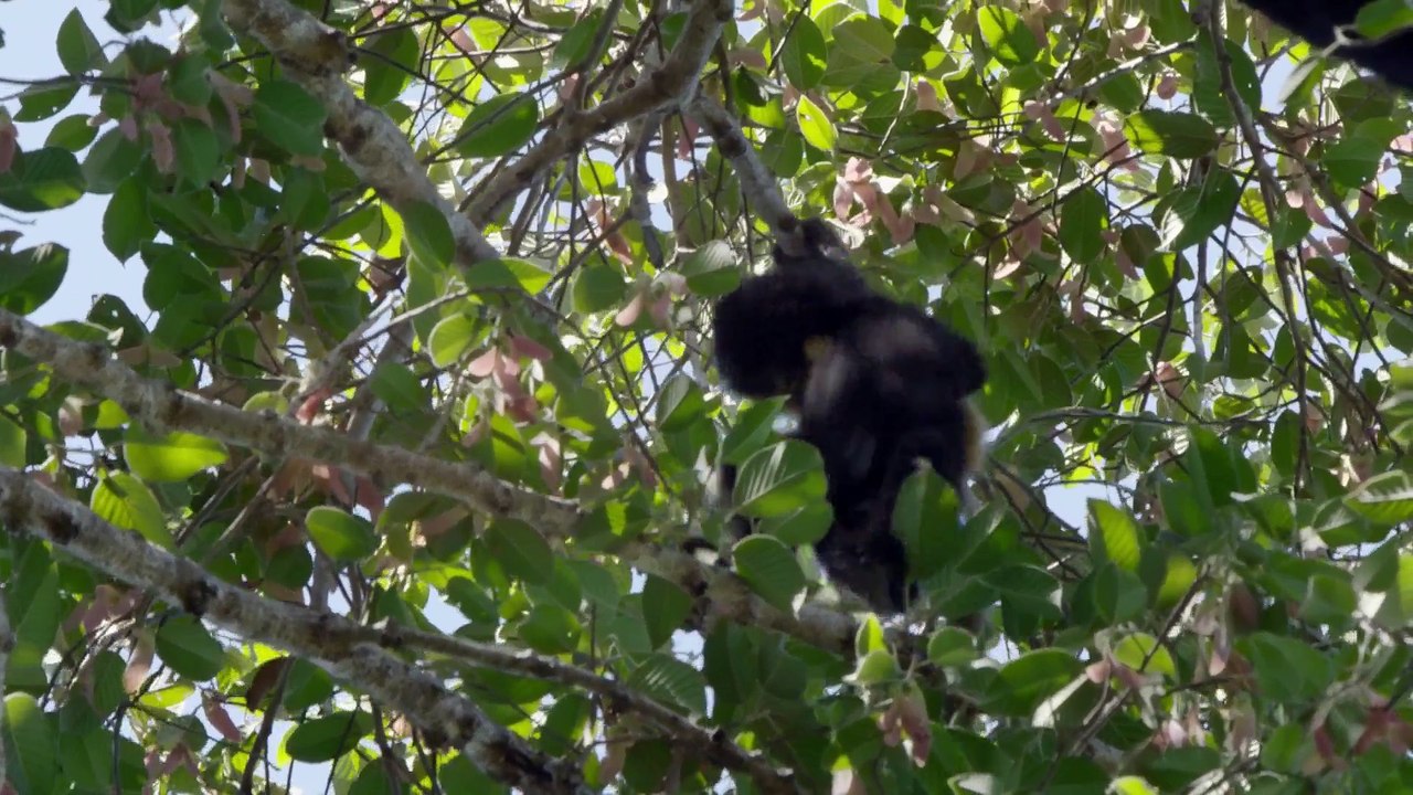 Mysteries of the Mekong Series 1 Part 07 Cambodia Hidden Refuges