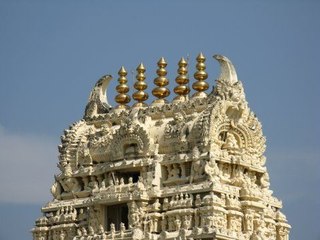 பழமையான சோழர்காலத்து கோயில் கலசம் திருட்டு- வீடியோ