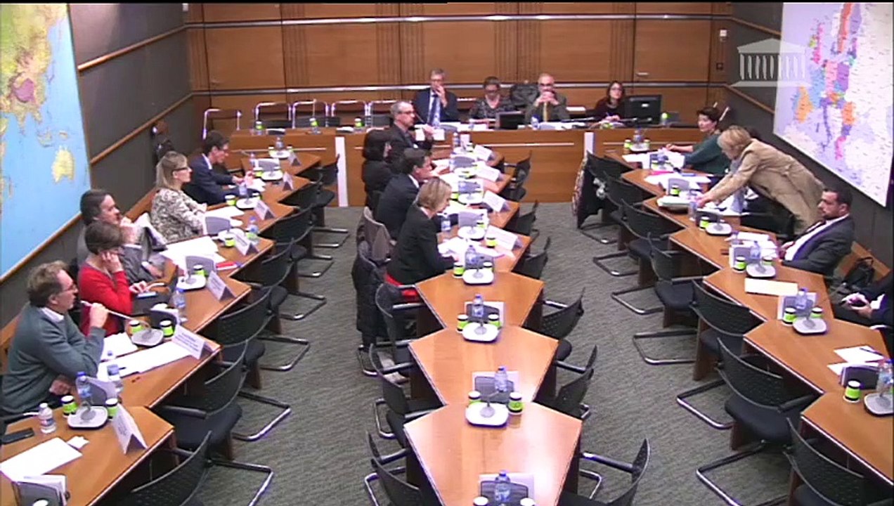 Freins à la transition énergétique : Audition en table ronde sur la distribution d’énergie - Mercredi 24 octobre 2018