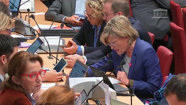 Commission des affaires économiques : Projet de loi de finances pour 2019 (seconde partie) - Mercredi 24 octobre 2018