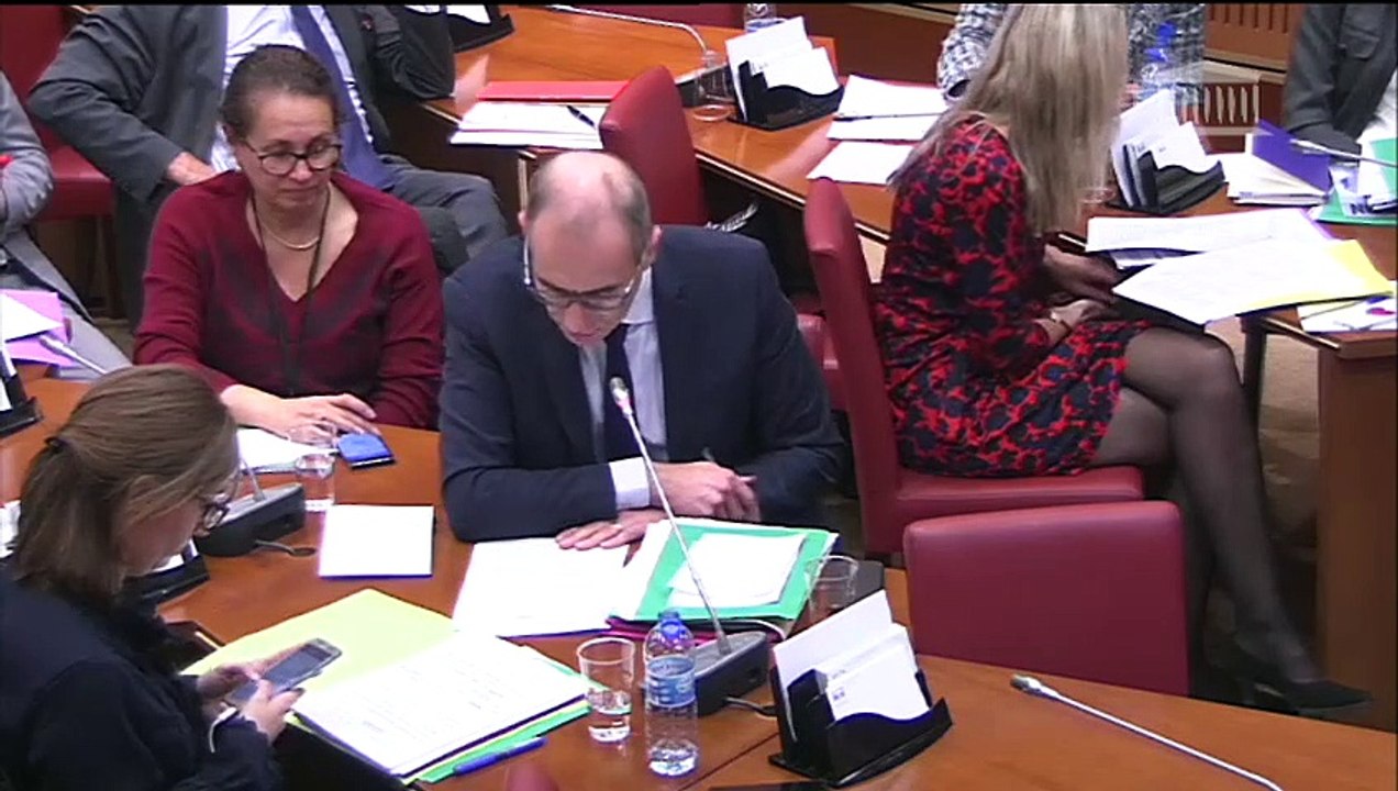 Commission des affaires culturelles : M. Franck Riester, ministre sur les crédits des missions « Culture », et « Médias, livre et industries culturelles » et du compte de concours financiers « Avances à l’audiovisuel public » - Mercredi 24 octobre 2018