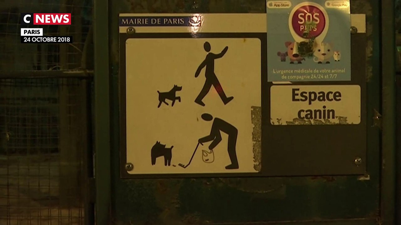 Paris : plus de place pour la promenade des chiens