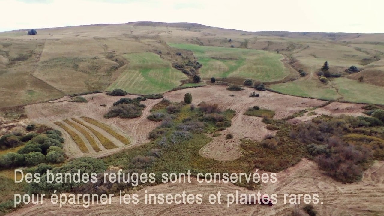 Fauche à la Réserve naturelle nationale des Sagnes de La Godivelle 2018