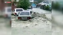 Rusya'da nehir taştı, ağaçlar devrildi, köylere ulaşım kesildi