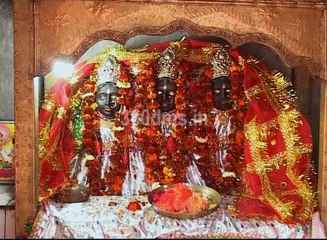 Watch How To Go To Patan Devi Temple and Special Aarti