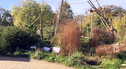 GOODLINES: 25th October 2018