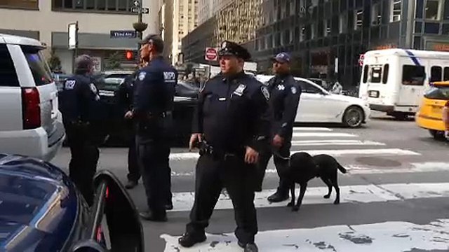 США: терроризм по почте