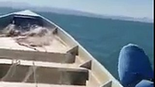Cae Helicóptero De La Marina en el mar, Pescadores los rescatan
