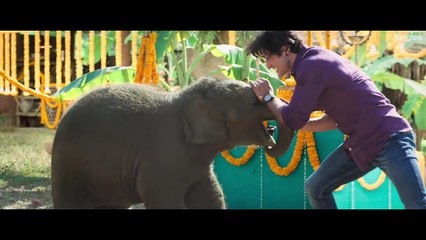 Junglee _ Official Teaser _ Vidyut Jammwal _